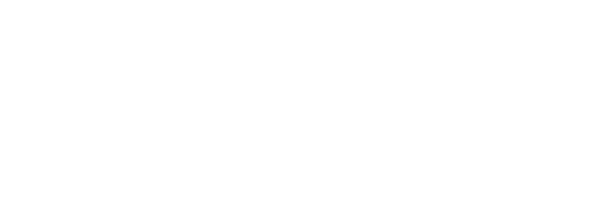 Deutscher Sparkassen Verlag logo